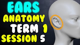 Game Character 👂🏼 Ears Anatomy 👂🏼 Term 1 Session 5 [upl. by Russell]