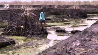 Nigeria Oil pollution in the Niger Delta  Global 3000 [upl. by Alyar]