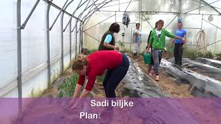 Plastenik u 4 minute obrazovanje za početnike Greenhouse in 4 minutes Great [upl. by Akinihs]