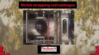 Redpack machine shrink wrapping red cabbages [upl. by Noteloc]