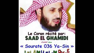 Saad El Ghamidi  Sourat YaSin [upl. by Mairim272]