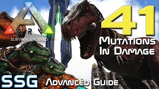 ARK 41 Mutations in Damage Advanced Guide Breeding [upl. by Aneloj]