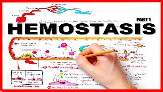 HEMOSTASISBLOOD CLOTTING MECHANISM part 1Natural Anticoagulants [upl. by Adnorhs]