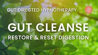 Spring Clean Your Gut Cleanse amp Restore Hypnosis Meditation for IBS [upl. by Ailana]