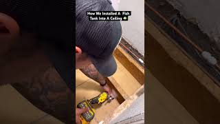 Installing Fish Tank In Ceiling 🐠shorts [upl. by Lovett]