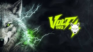 VOLT INU  VOLTED DRAGON SAILOR CLUB NFTS WITH SEVERAL UTILITIES [upl. by Risan]