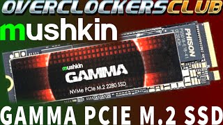 Blistering Speed Mushkin Gamma PCIE 40 M2 SSD [upl. by Eed]