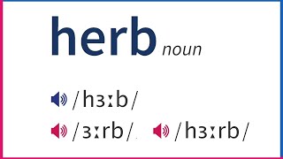 How To Pronounce HERB In British And American English [upl. by Idnod]