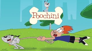 Poochini Intro Español Latino [upl. by Acceb]