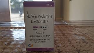 ing FLUNIXIN MEGLUMINE INJECTION AntiinflammatoryAnalgesic And Antipyreti [upl. by Gayl]