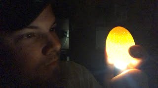 Candling Eggs A Quick Update on my Egg Hatching Experiment How did We Do [upl. by Heer]