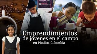 Emprendimientos de jóvenes en el campo en Pitalito Colombia  Ally Emprende [upl. by Annoyi]