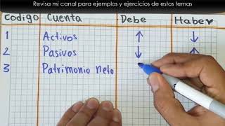 Como hacer ASIENTOS CONTABLES Tutorial FÁCIL y RÁPIDO [upl. by Notnek]