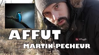 AFFÛT MARTINPÊCHEUR  Photographie animalière [upl. by Rollecnahc]