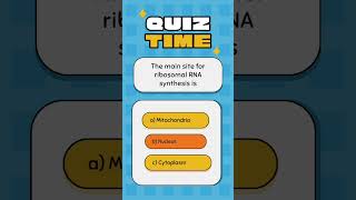 Nucleus structure and function quiznucleus quiz nucleusmcqs cell nucleusmcqs on nucleus [upl. by Adama]