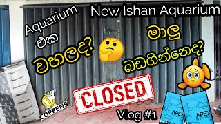 Aquarium Vlog 1 Lockdown එකේදි මොකද වෙන්නෙ🤔 New Ishan Aquarium [upl. by Channa]