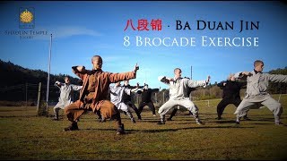 八段锦 · Ba Duan Jin 8 Brocade Exercise Qi Gong [upl. by Annunciata]