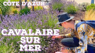 CAVALAIRE SUR MER  CÔTE D’AZUR vlog [upl. by Lanta753]