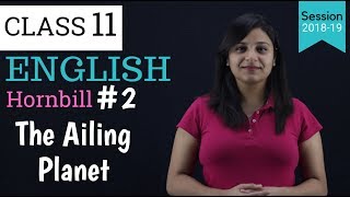 summary of the ailing planet in hindi  class11  part  2 [upl. by Cazzie995]