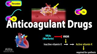 Pharmacology Anticoagulants Animation [upl. by Aleel283]