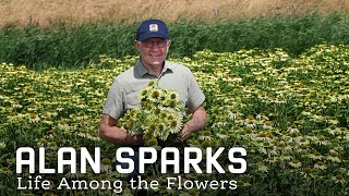 Alan Sparks  Life Among the Flowers [upl. by Niessuh]