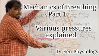 MECHANICS OF BREATHING Various Pressures Involved [upl. by Eneli]