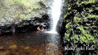 Island Trails  Waimanu Big Island [upl. by Carver214]