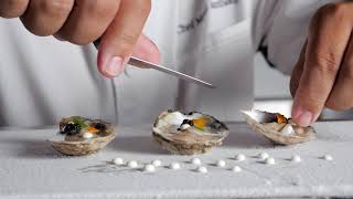 Test Kitchen Oysters Two Ways [upl. by Ainaj710]