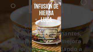 Relaja tu Mente y Mejora tu Digestión con la Infusión de Hierba Luisa 🌿🍵💚✨ [upl. by Akimal]