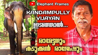 കണ്ടമ്പുള്ളി വിജയൻ ഇടഞ്ഞാൽ  Nemmara Raman  Elephant Frames  PART 2 [upl. by Neahs]