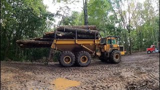 From Logs To Lumber A Day In The Woods With Logger Wade Part 1 [upl. by Henden]