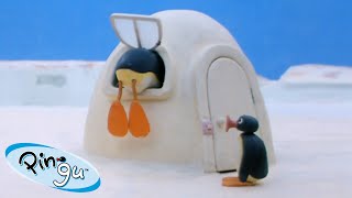 Pingus Favorite Pastimes 🐧  Pingu  Official Channel  Cartoons For Kids [upl. by Shelah]