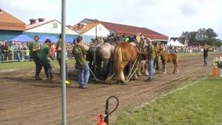 trekpaarden voor de sleepwagen [upl. by Apfel]