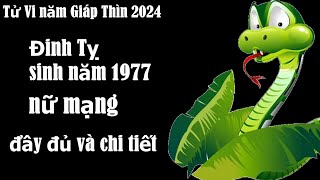 Tử Vi năm Giáp Thìn 2024 Đinh Tỵ sinh năm 1977 Nữ mạng chi tiết nhấtMy Hằng Lam [upl. by Enelrahs180]