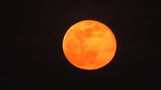 Super lune rouge Nikkon P900 zoom [upl. by Dawna]