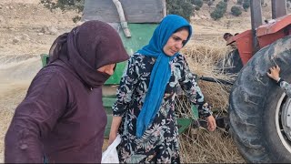 quotThreshing wheat and harvesting wheat by Ismat to make breadquot [upl. by Jessey]