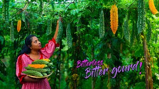 Cooking mission of making my Brother eats Bitter gourd by removing its bitterness  Traditional Me [upl. by Ahsaeyt]