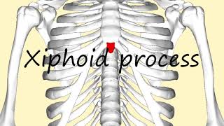 How to Pronounce Xiphoid process [upl. by Roach]