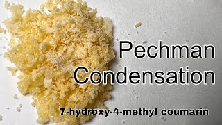 7hydroxy4methyl coumarin  Organic Synthesis  Pechman Condensation [upl. by Wood562]