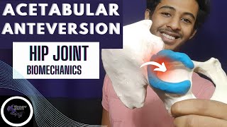 HIP JOINT PROXIMAL ARTICULATION HIP JOINT COMPLEX BIOMECHANICSPhysiotherapy Tutorials [upl. by Eirual]