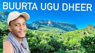 WAXAN KORNAY BUURTA U DHEER DHULKEENA SURAD [upl. by Dag365]