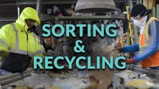 Sorting and Recycling Facility  Follow the Process [upl. by Donaugh251]