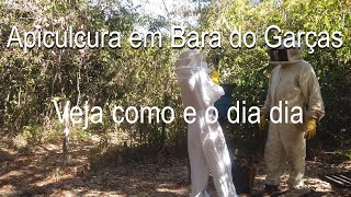 JP acompanha o dia a dia de um produtor rural de apicultura em Barra do Garças MT Veja o vídeo [upl. by Nav]