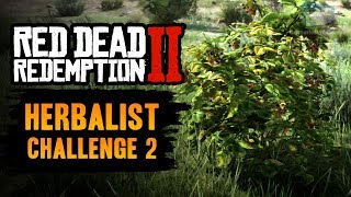 Red Dead Redemption 2 Herbalist Challenge 2 Guide  Pick and eat 4 species of berry [upl. by Nylaehs]