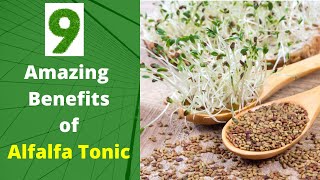 9 Amazing Health Benefits of Alfalfa Tonic  Healthmania [upl. by Assili]