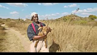 Baba Harare  Tsamba Yerufu Official Video [upl. by Lamek]