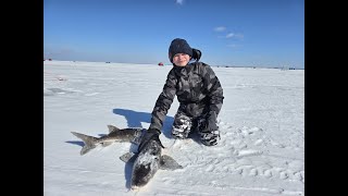 2nd Sturgeon 2024 Lake Winnebago Sturgeon Spearing Season [upl. by Apps]