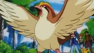 Pokémon  Pidgeotto evolui pra Pidgeot Despedida de Pidgeot [upl. by Willdon]