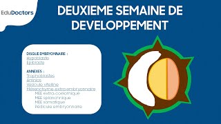 Deuxième semaine de développement embryonnaire  Embryologie générale [upl. by Suiluj]