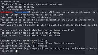 Implementing a Custom Public Key Infrastructure PKI [upl. by Hulbig]